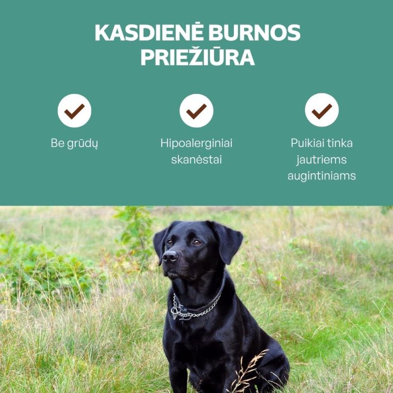 Visų veislių suaugusių tamsaus kailio šunų begrūdis pašaro papildas - skanėstai su vabzdžiais