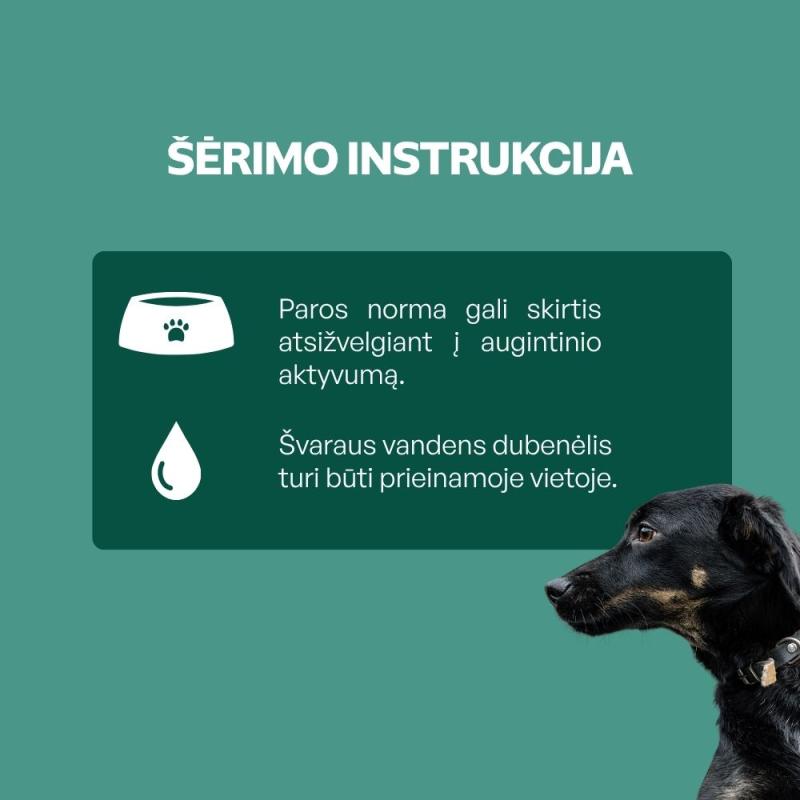 Visų veislių suaugusių tamsaus kailio šunų begrūdis pašaro papildas - skanėstai su vabzdžiais