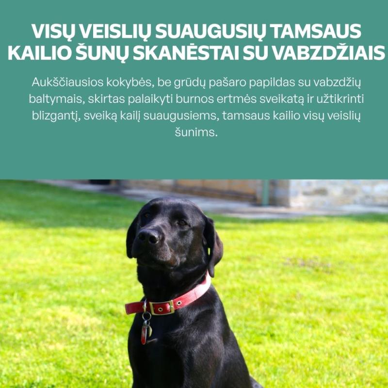 Visų veislių suaugusių tamsaus kailio šunų begrūdis pašaro papildas - skanėstai su vabzdžiais