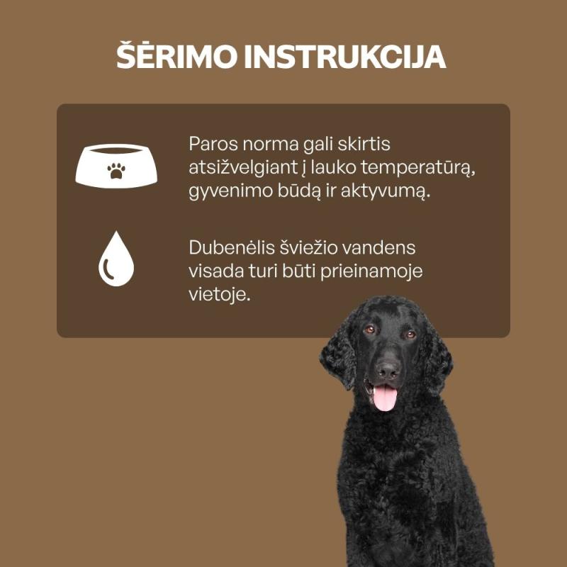 Visų veislių suaugusių tamsaus kailio šunų, begrūdis pašaro papildas - skanėstai su ėriena