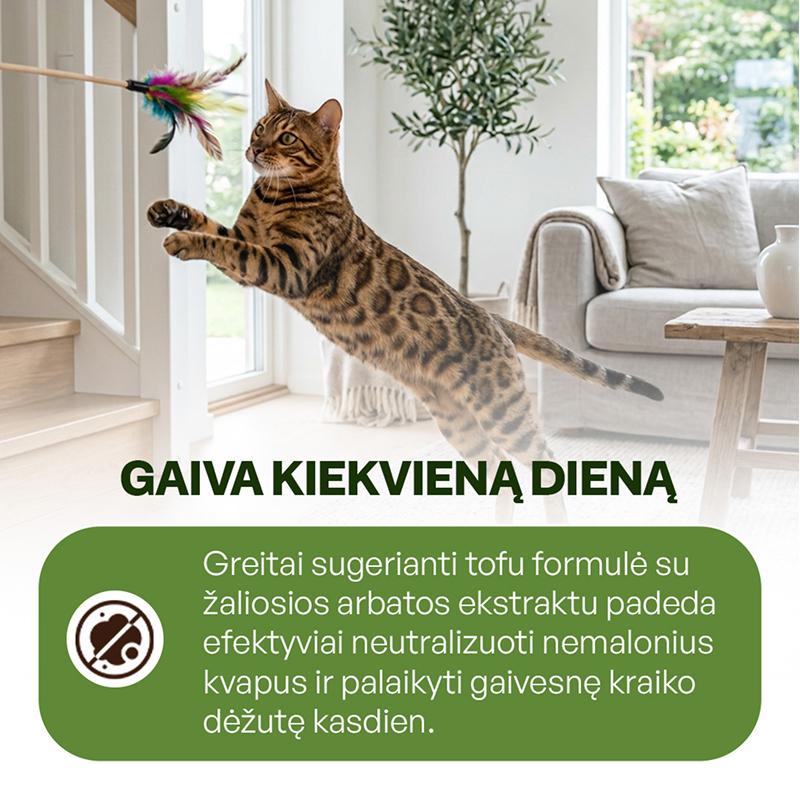 Kačių kraikas su bentonitu ir žaliosios arbatos ekstraktu