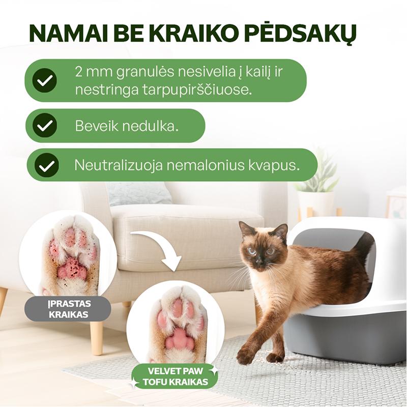 Aktyvių kačių kraikas su žaliosios mačia arbatos esencija