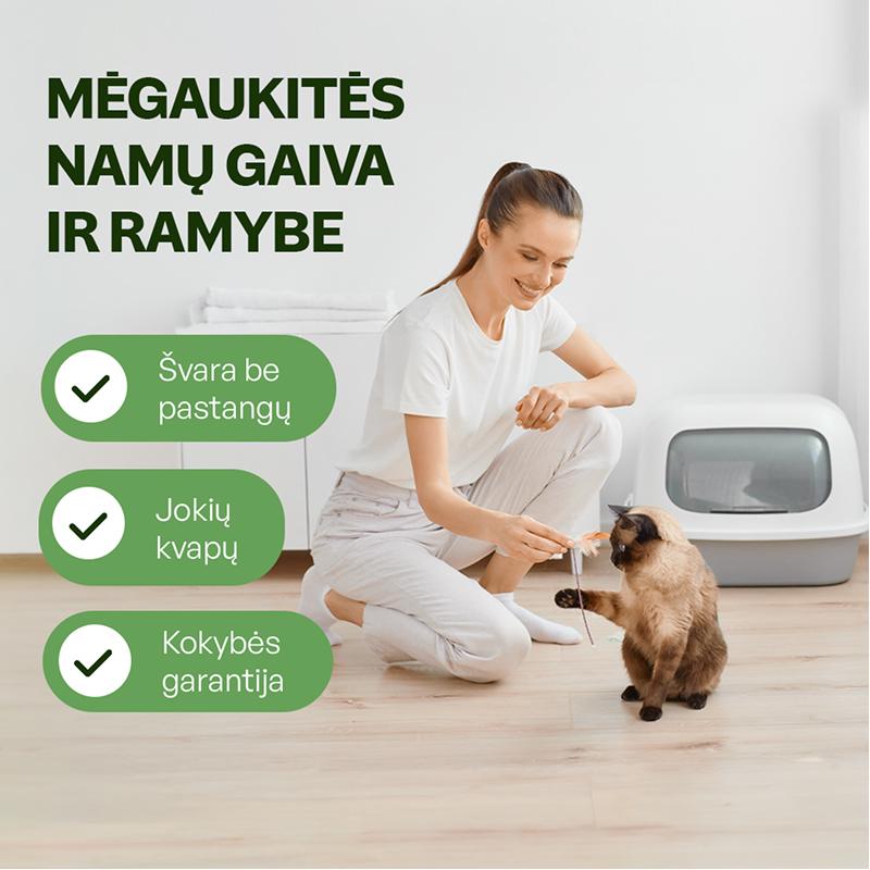 Aktyvių kačių kraikas su žaliosios mačia arbatos esencija | KIKA