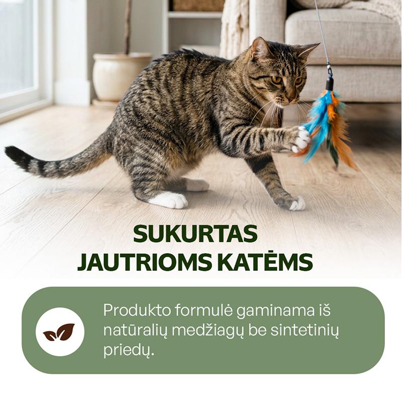 Jautrių kačių kraikas su alijošiaus esencija