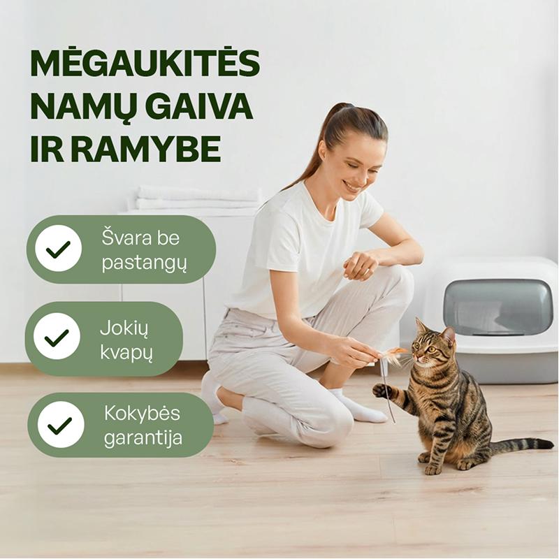 Jautrių kačių kraikas su alijošiaus esencija