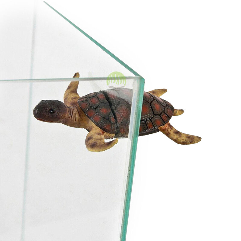Magnetas akvariumui 7.5x9x2.5 cm