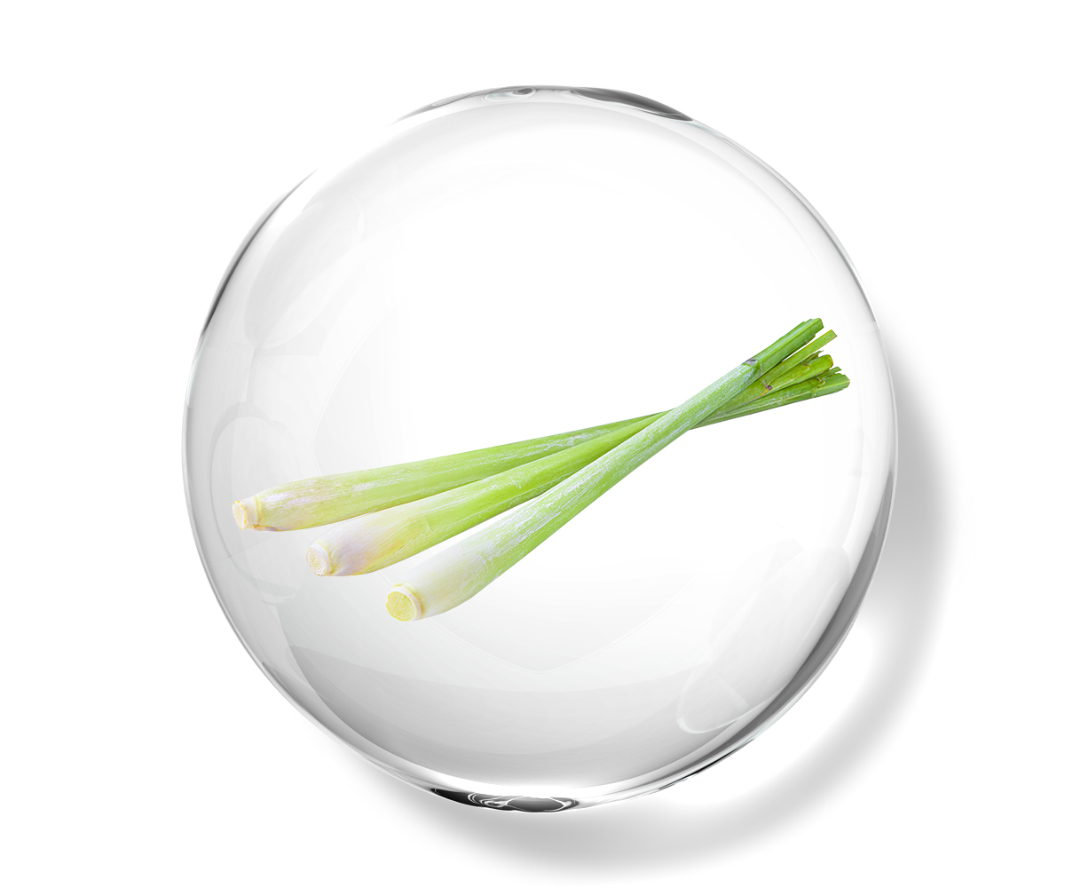 Lemongrass essential oil