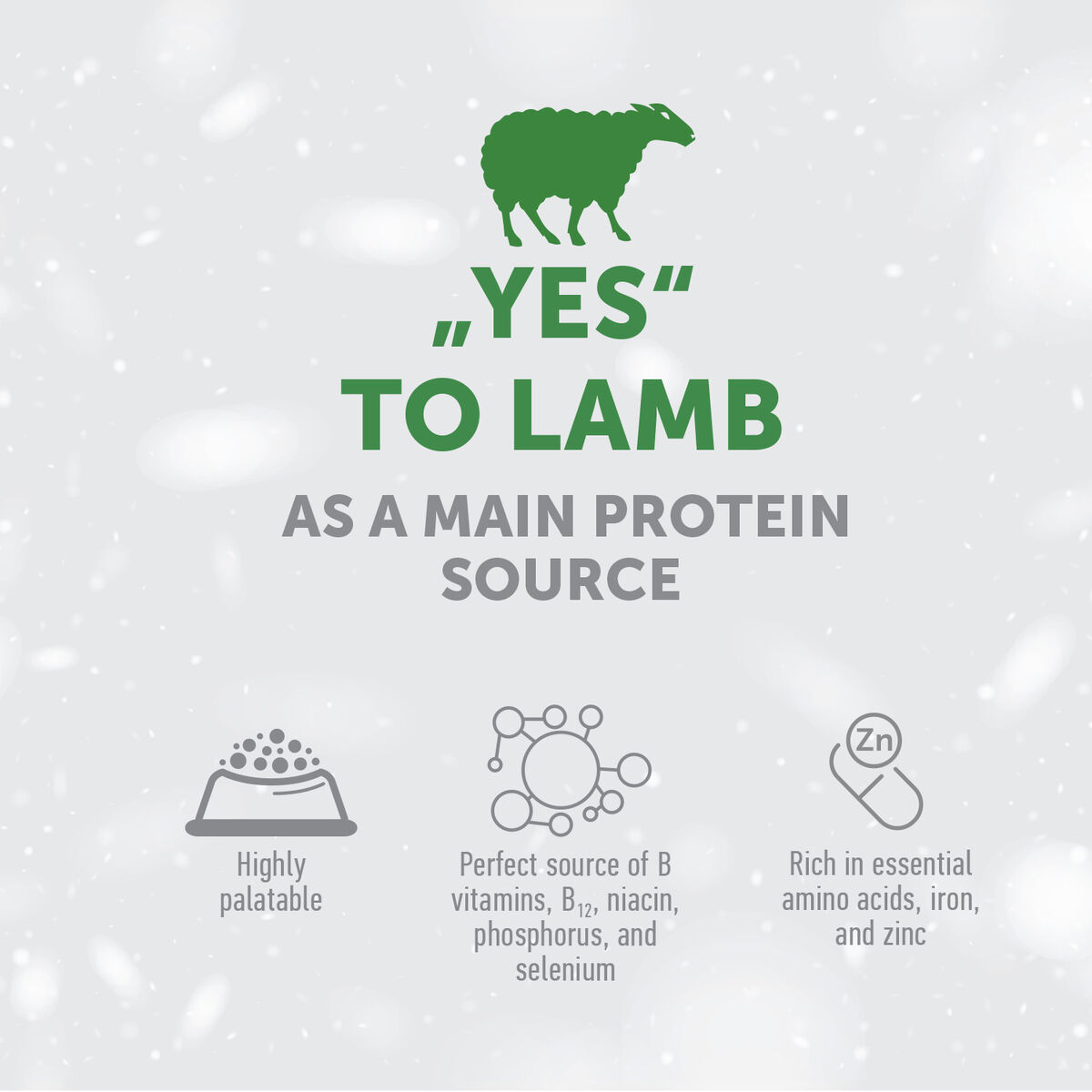 Adult Dogs Food for Light Coat Small & Mini Breeds with Lamb