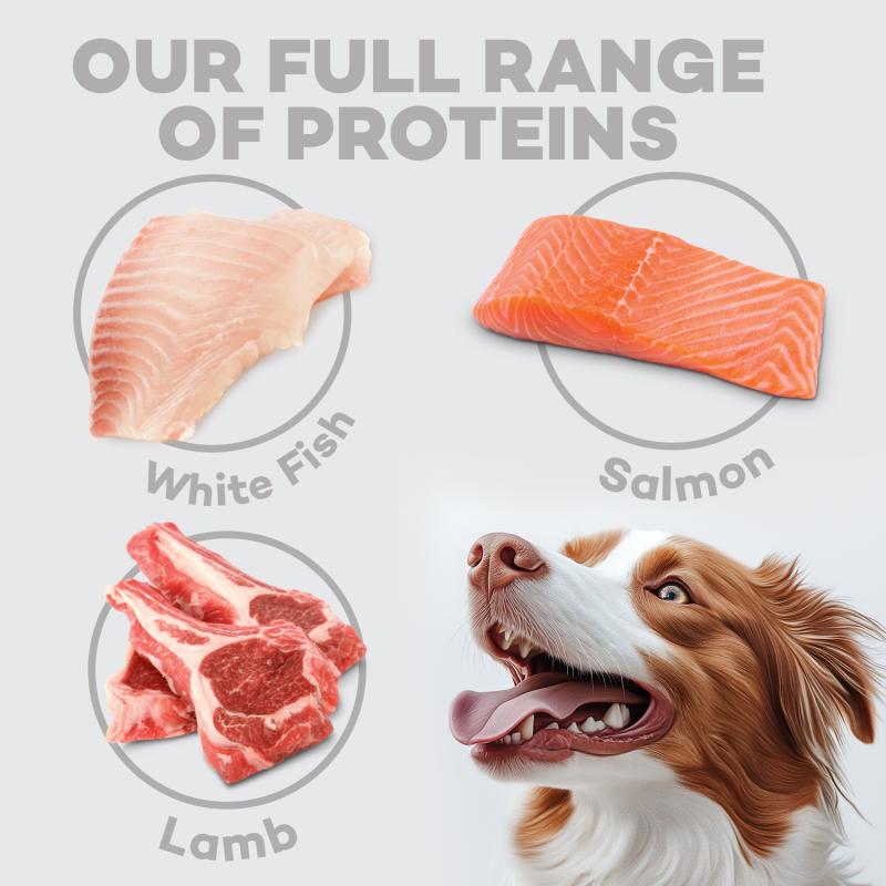 All Life Stages Dog Food for Red Coat All Breeds with Lamb
