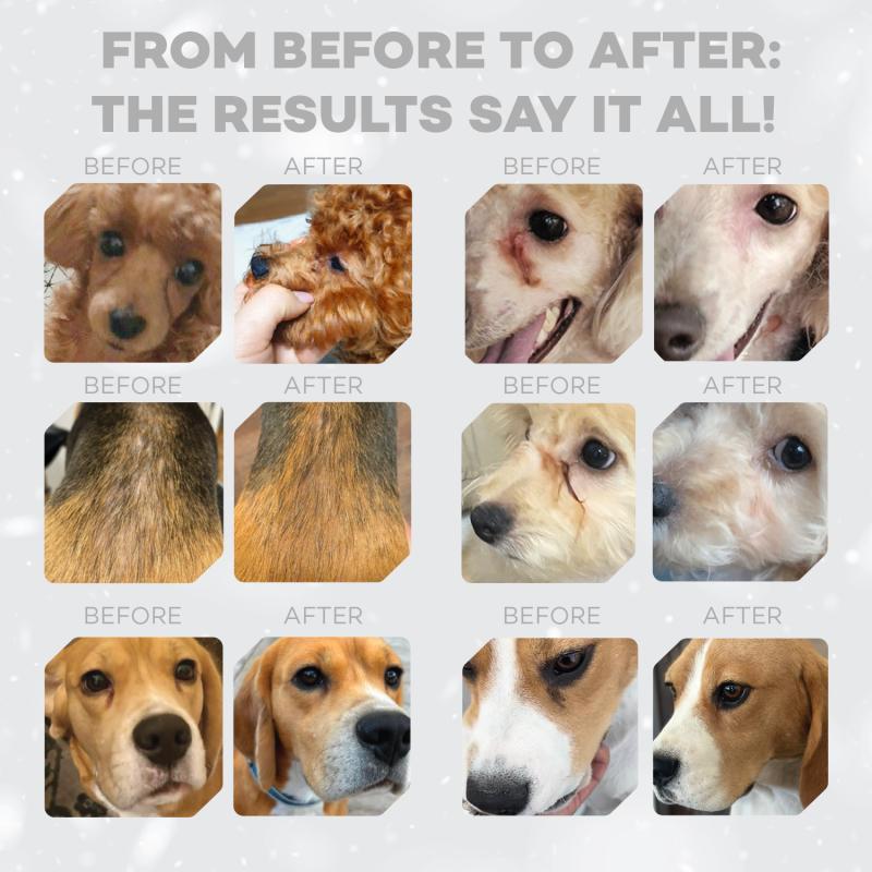Junior Dogs Food for Red Coat Small Breeds with Salmon