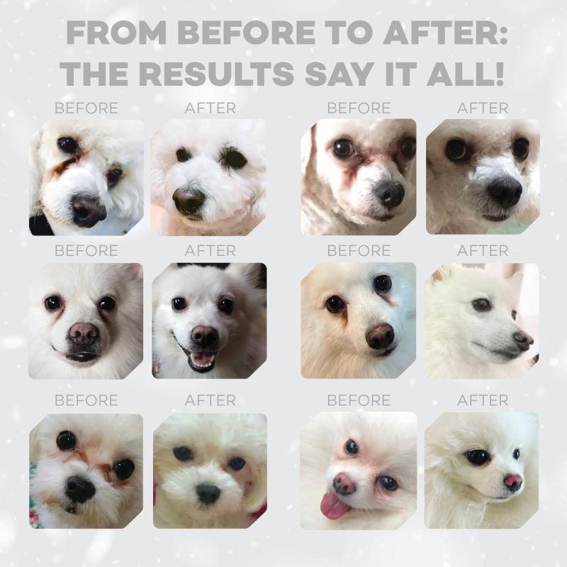 Adult Dogs Food for Light Coat Small & Mini Breeds with Salmon