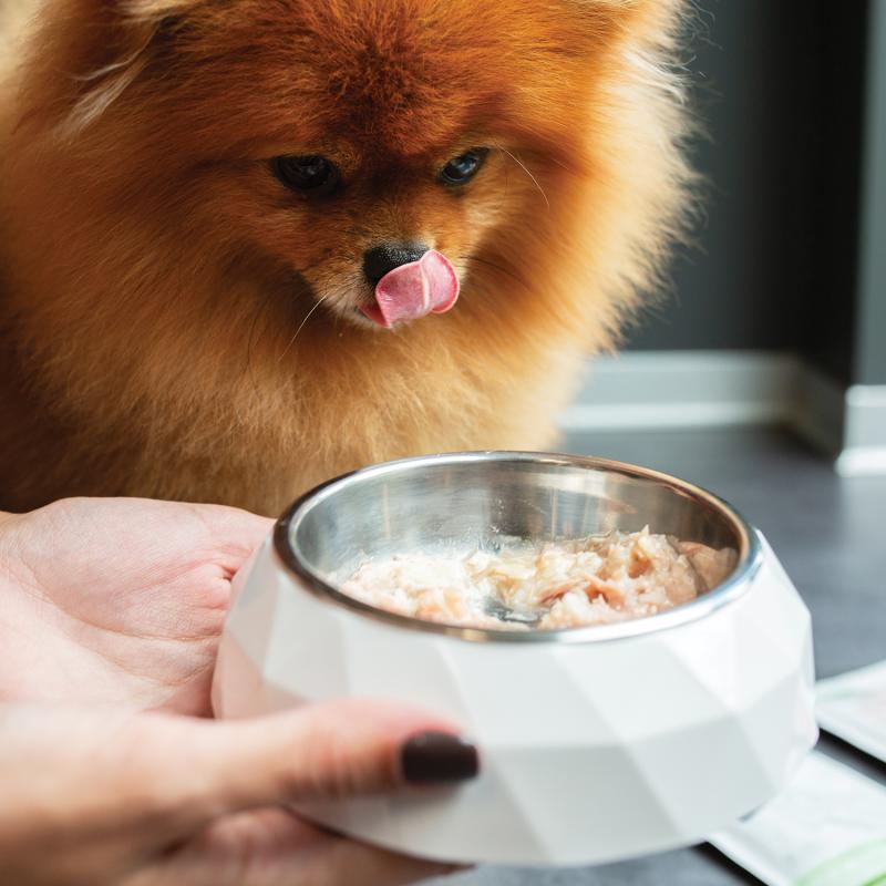 Adult Dog Wet Food for All Breed Dogs with Tuna & Rice