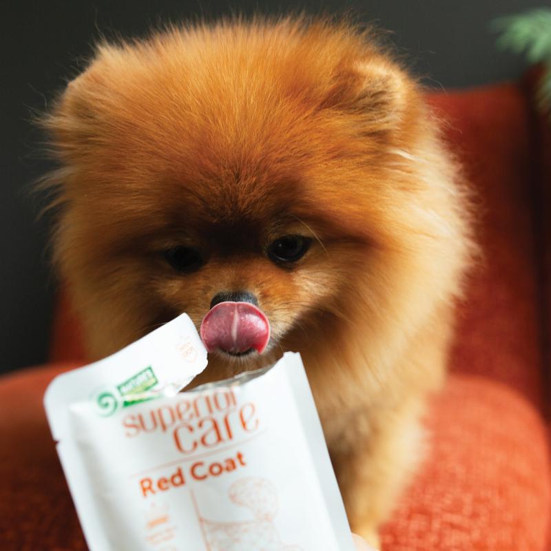 Adult Dog Wet Food for All Breed Dogs with Tuna & Rice