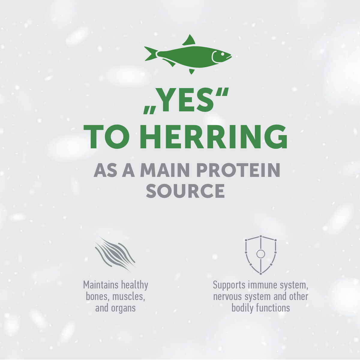Adult Light Coat Cats Dry Food with Herring – For All Breeds