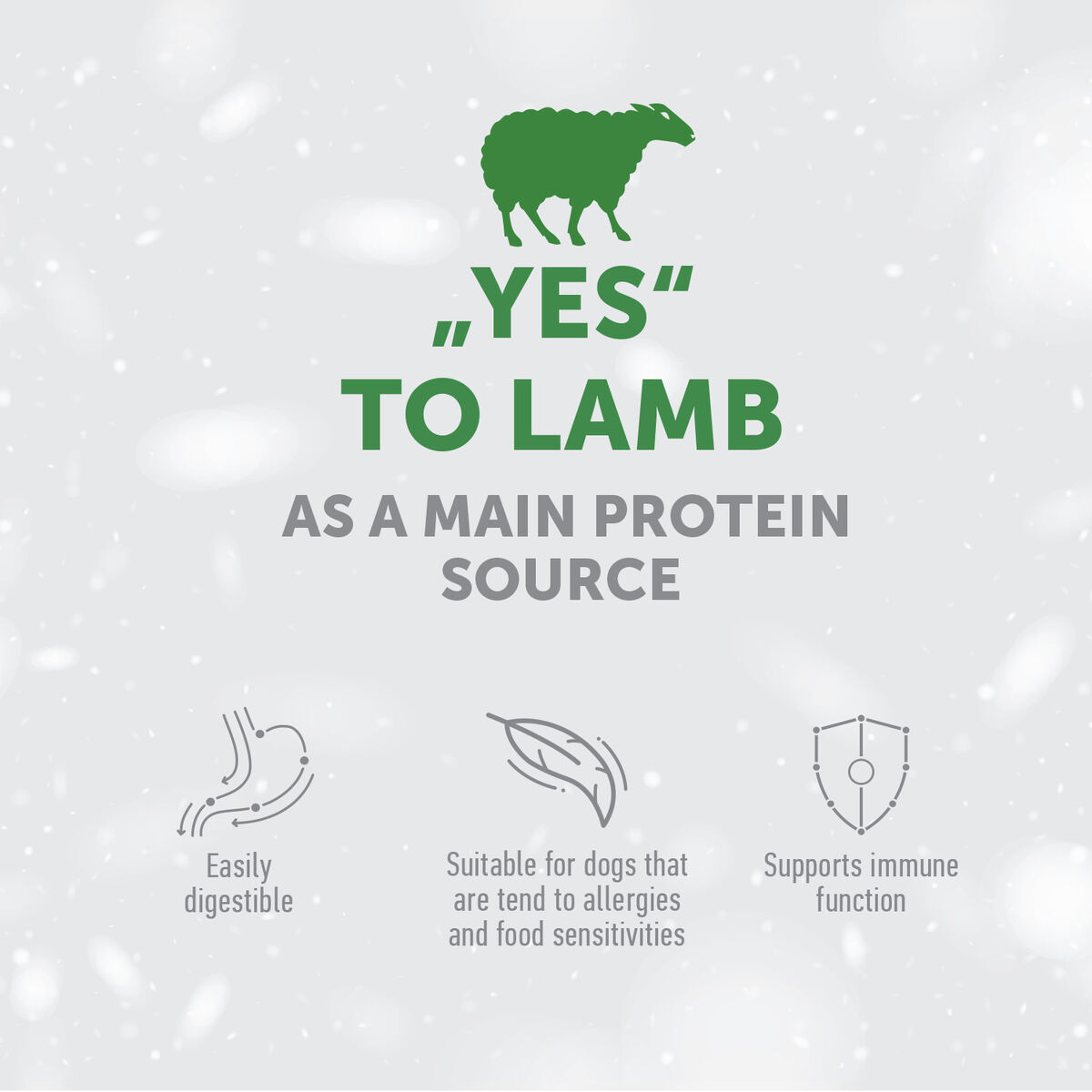 Adult Dogs Food for Light Coat Small & Mini Breeds with Lamb
