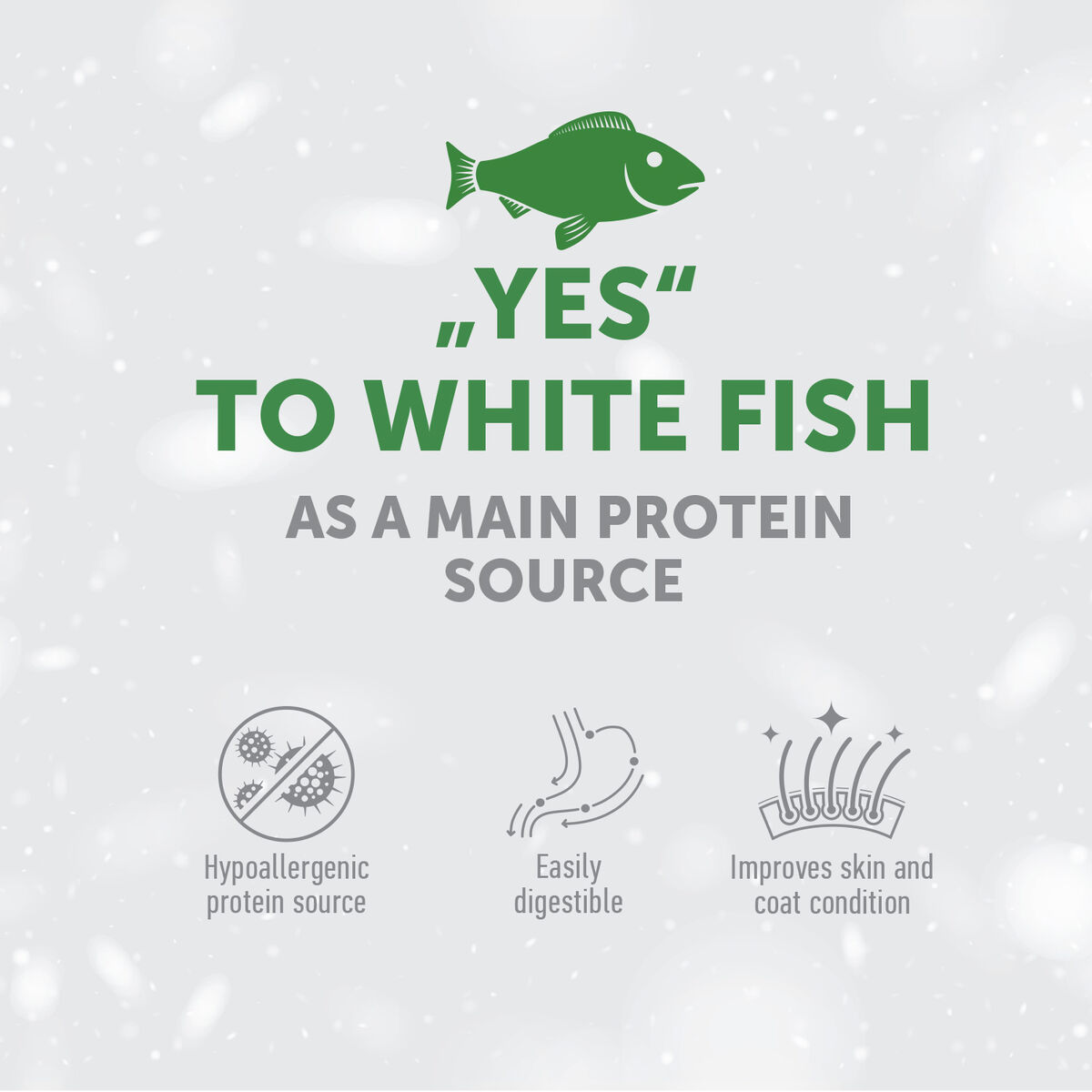 Adult Dogs Food for Light Coat Large Breeds with White Fish