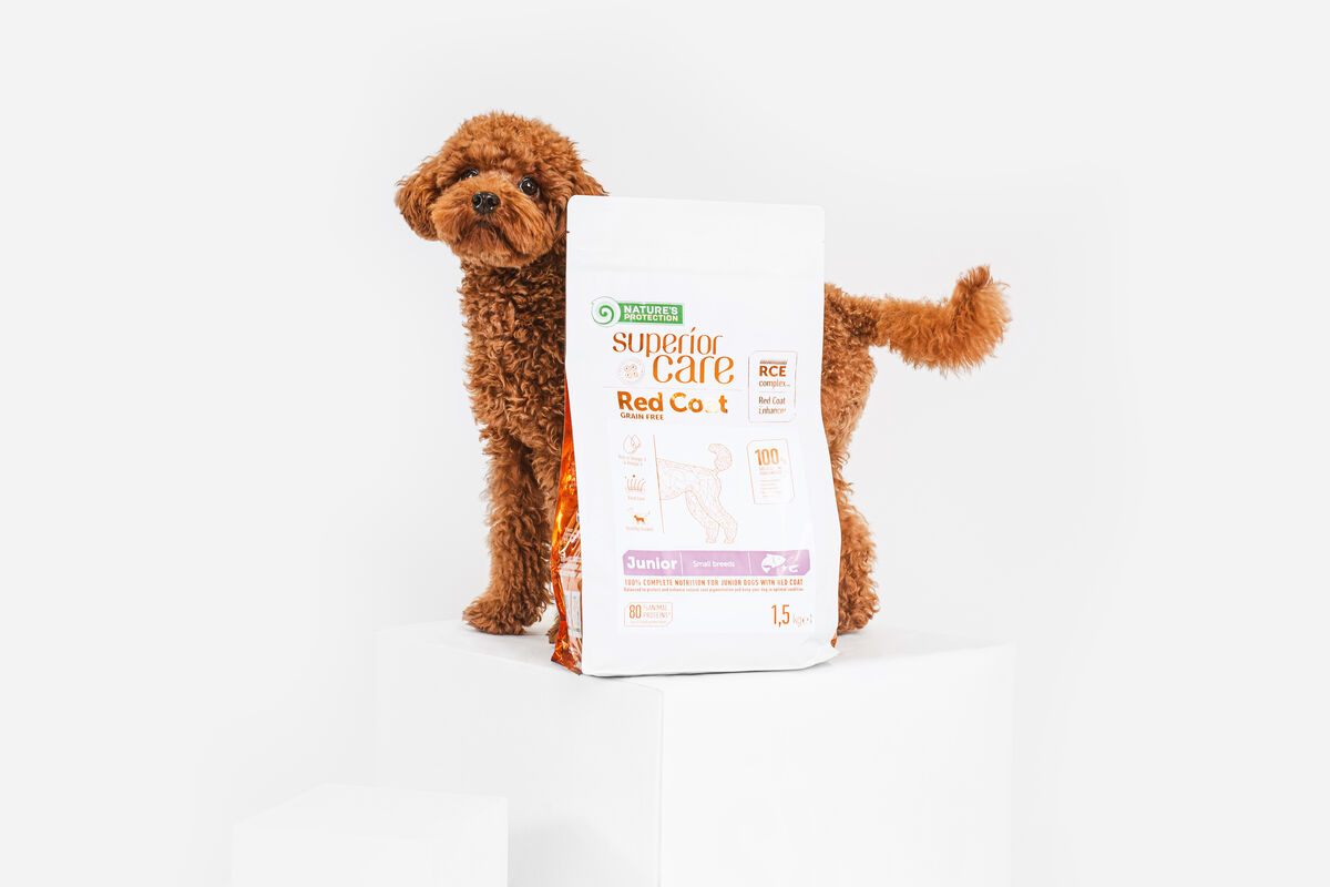 Junior Dogs Food for Red Coat Small Breeds with Salmon