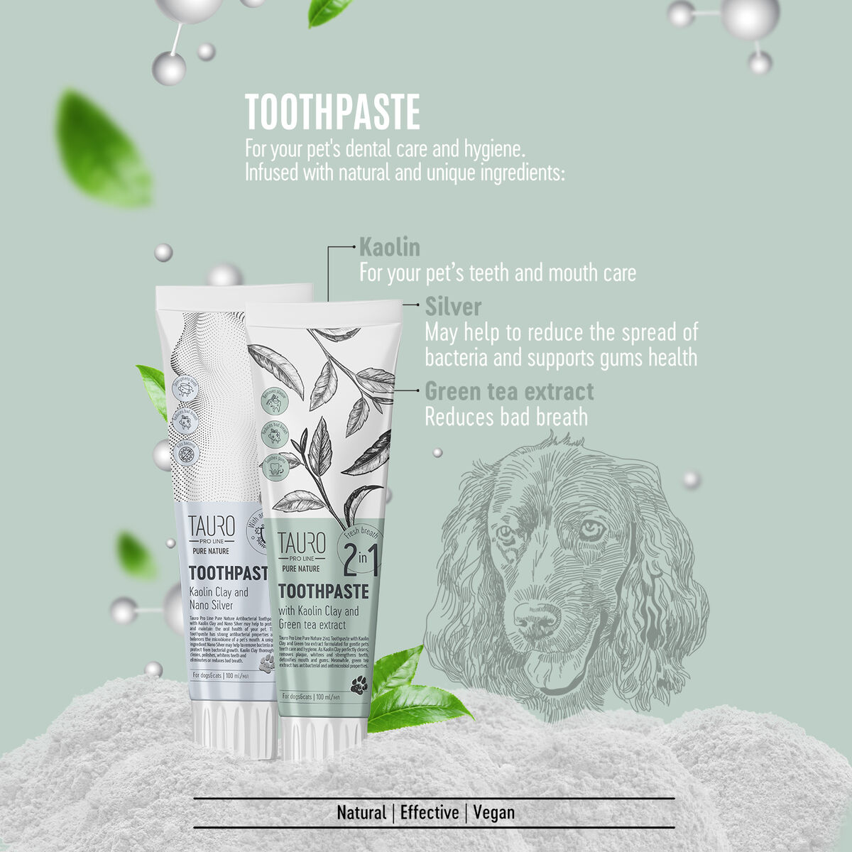 Tauro Pro Line Pure Nature toothpaste with white clay (kaolin), zeolite and  silver nanoparticles for dogs and cats