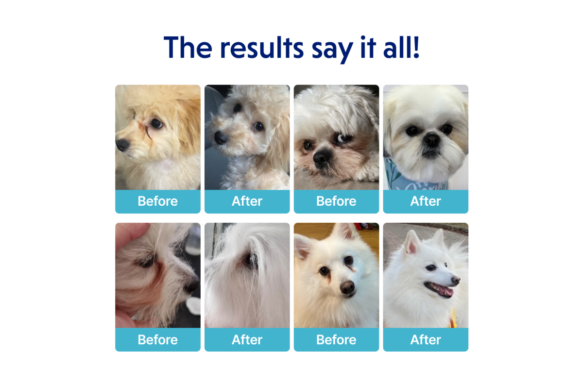 Junior Dogs Food for Light Coat All Breeds with White Fish & Rice