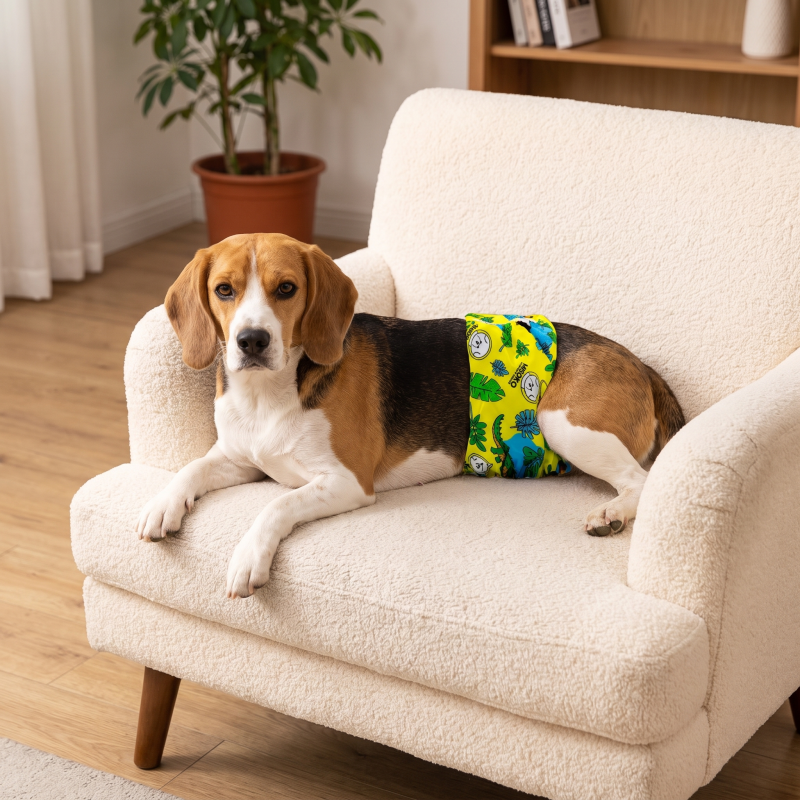 Reusable Male Dog Belly Bands – 3 Pack, Leakproof & Ultra Absorbent