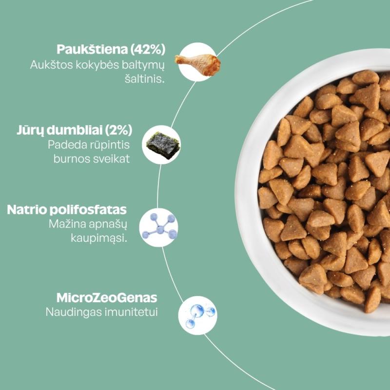 Suaugusių kačių pašaro papildas - skanėstai su paukštiena