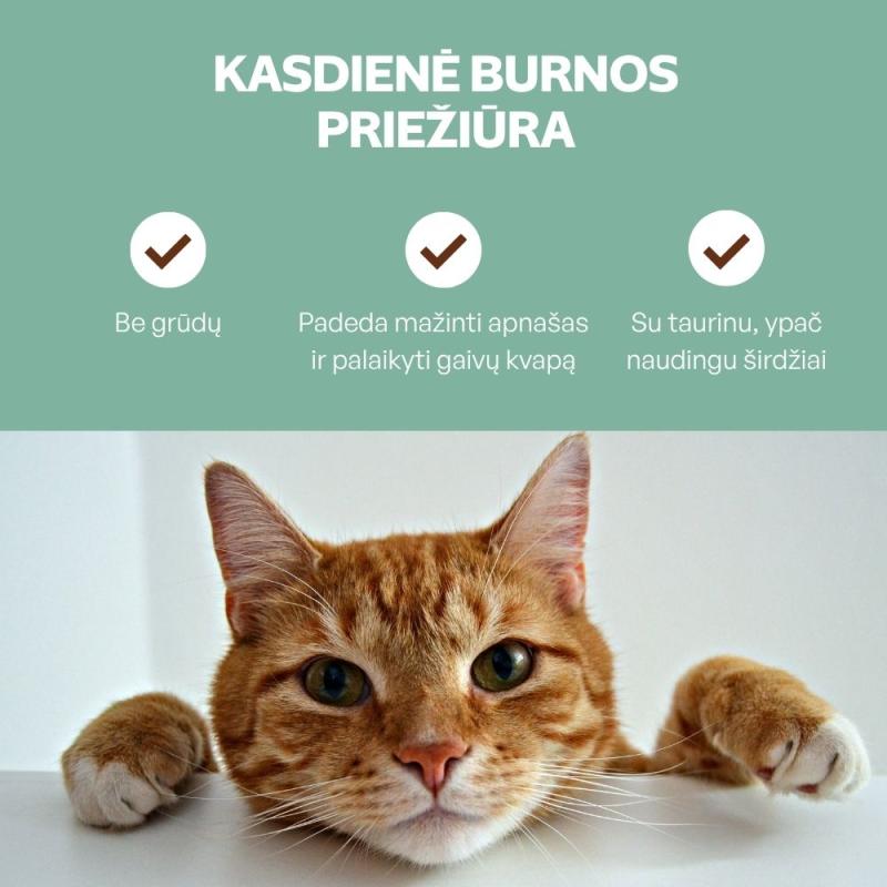 Suaugusių kačių pašaro papildas - skanėstai su paukštiena
