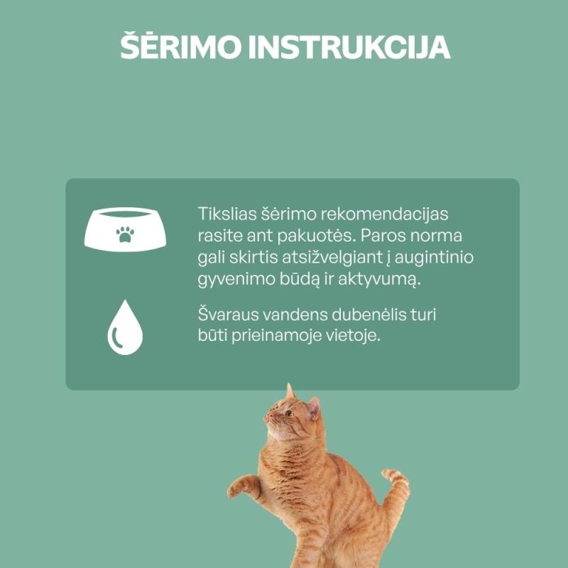 Suaugusių kačių pašaro papildas - skanėstai su paukštiena