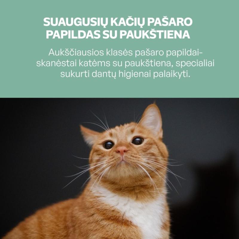 Suaugusių kačių pašaro papildas - skanėstai su paukštiena