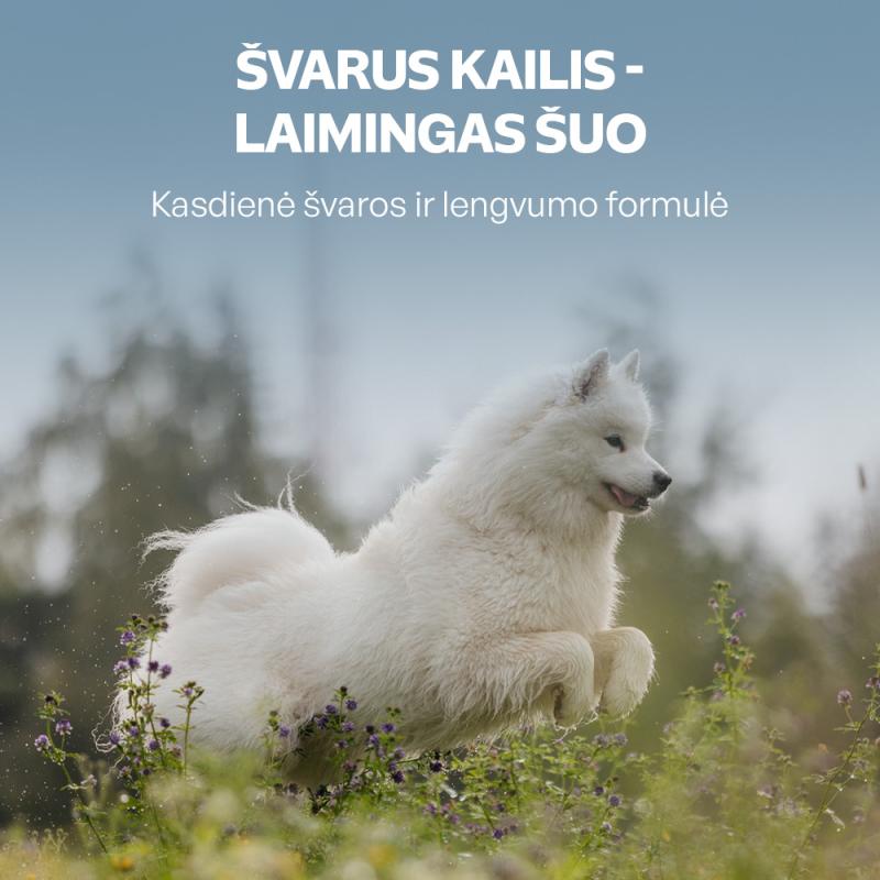 Nature's Protection Superior Care suaugusių didelių veislių balto kailio šunų pašaras su balta žuvimi