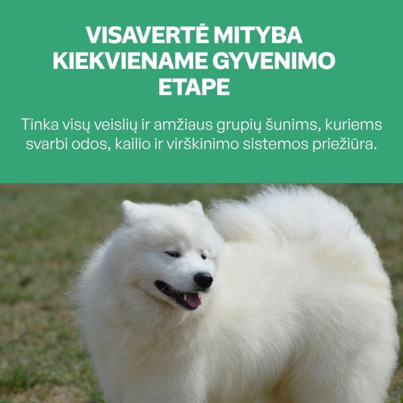 Nature's Protection Superior Care visų dydžių ir amžiaus grupių baltakailių šunų sausas pašaras su vabzdžiais