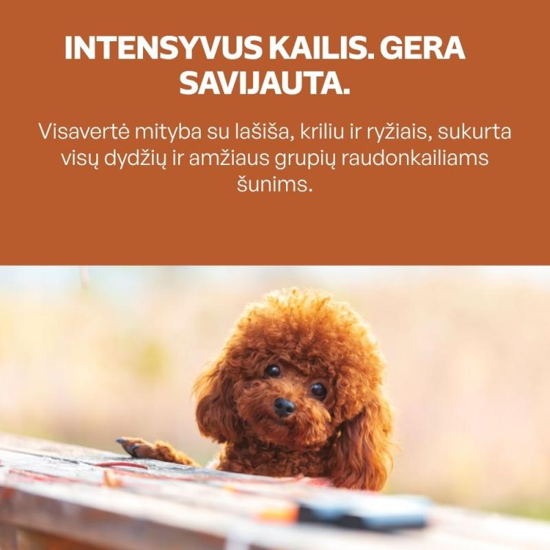 Visų dydžių ir amžiaus grupių raudonkailių šunų sausas pašaras su lašiša, kriliu ir ryžiais