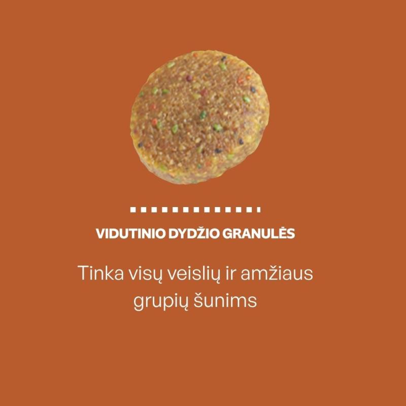 Visų dydžių ir amžiaus grupių raudonkailių šunų sausas pašaras su lašiša, kriliu ir ryžiais