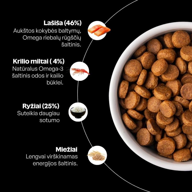Jaunų visų dydžių tamsaus kailio šunų sausas pašaras su lašiša ir ryžiais