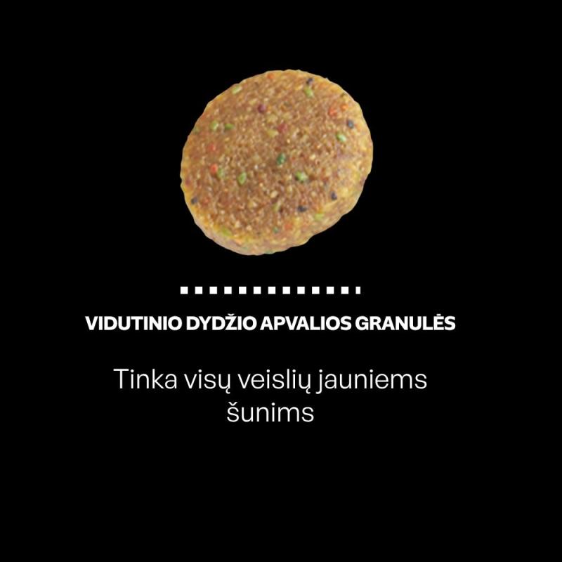 Jaunų visų dydžių tamsaus kailio šunų sausas pašaras su lašiša ir ryžiais