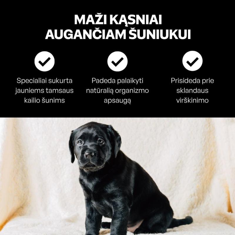 Jaunų visų dydžių tamsaus kailio šunų sausas pašaras su lašiša ir ryžiais