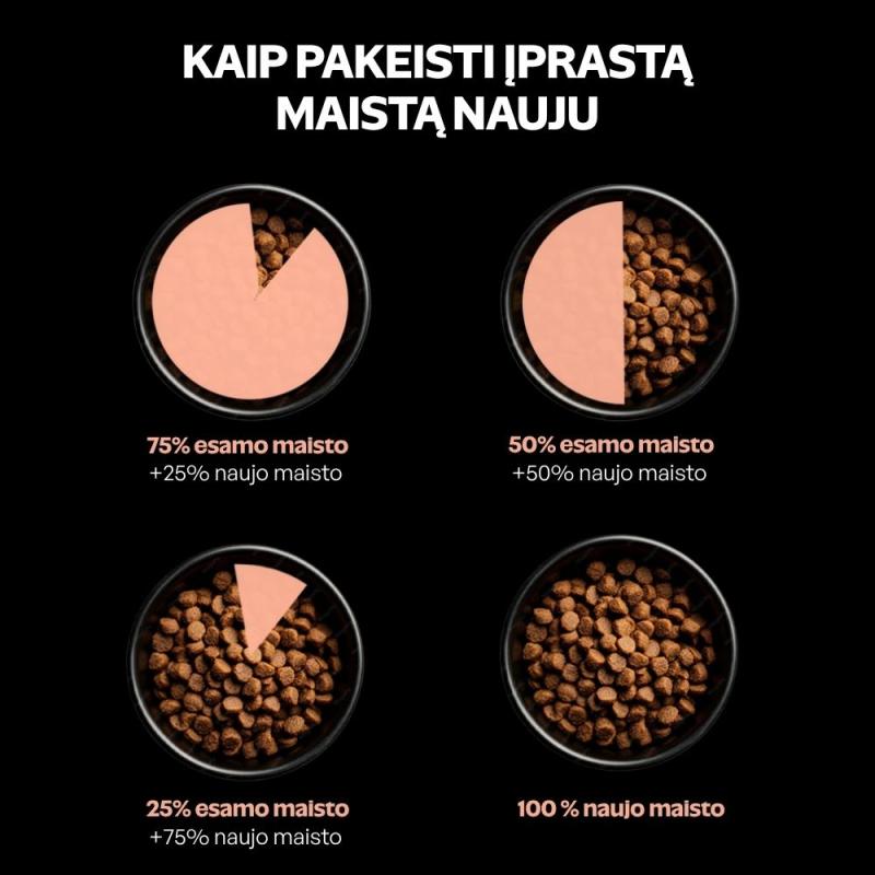 Jaunų visų dydžių tamsaus kailio šunų sausas pašaras su lašiša ir ryžiais