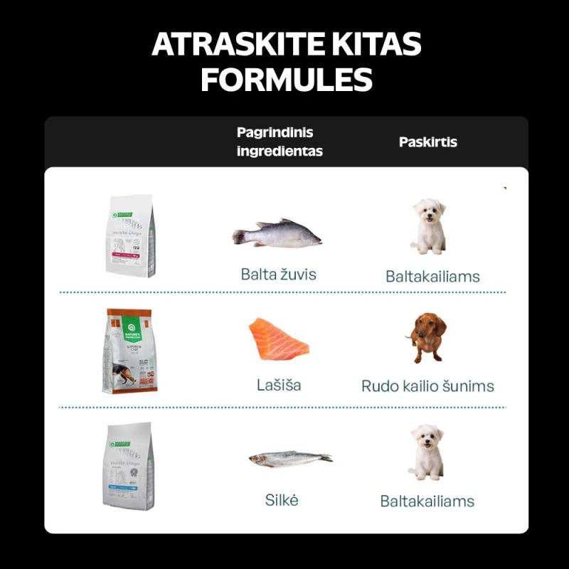 Jaunų visų dydžių tamsaus kailio šunų sausas pašaras su lašiša ir ryžiais