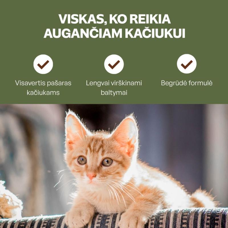 Begrūdis šlapias pašaras kačiukams su kalakutiena ir vištos krūtinėle