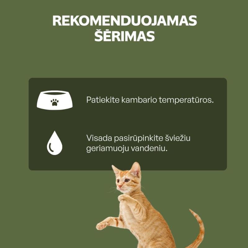 Begrūdis šlapias pašaras kačiukams su kalakutiena ir vištos krūtinėle