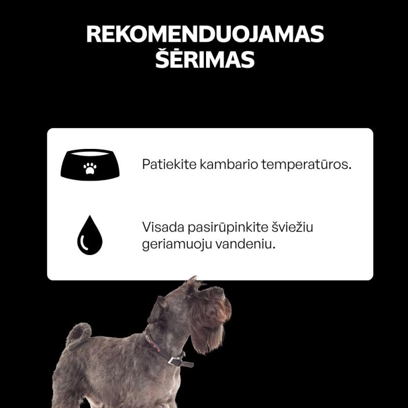 Begrūdis šlapias pašaras šunims su upėtakiu ir kriliu