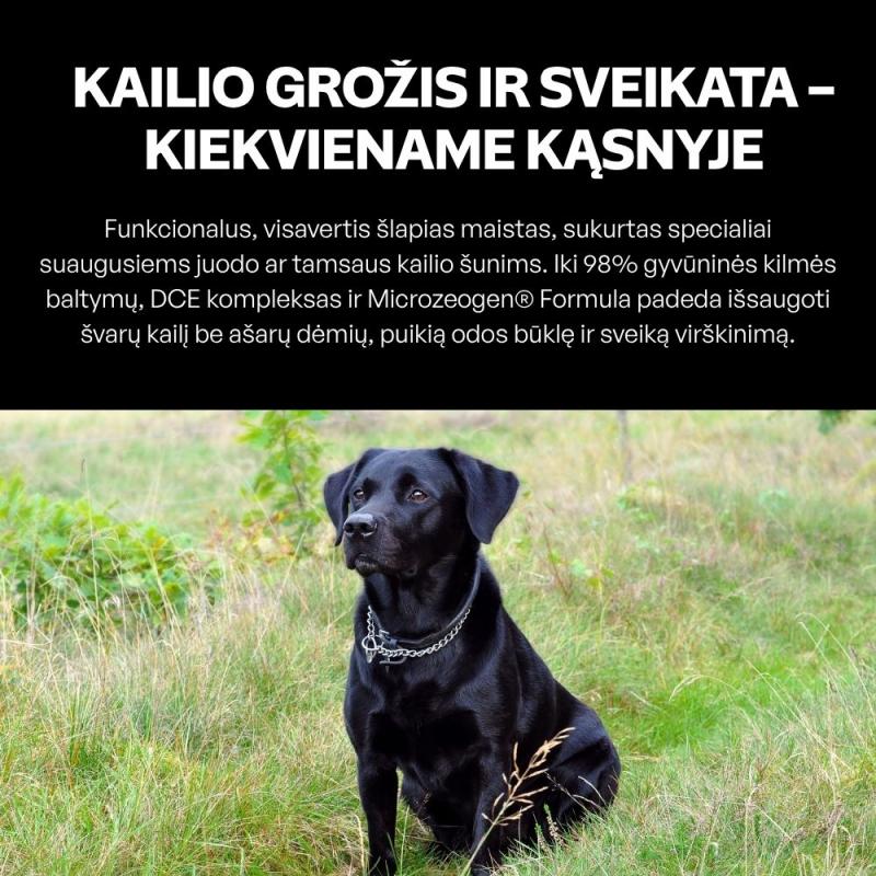 Begrūdis šlapias pašaras šunims su upėtakiu ir kriliu