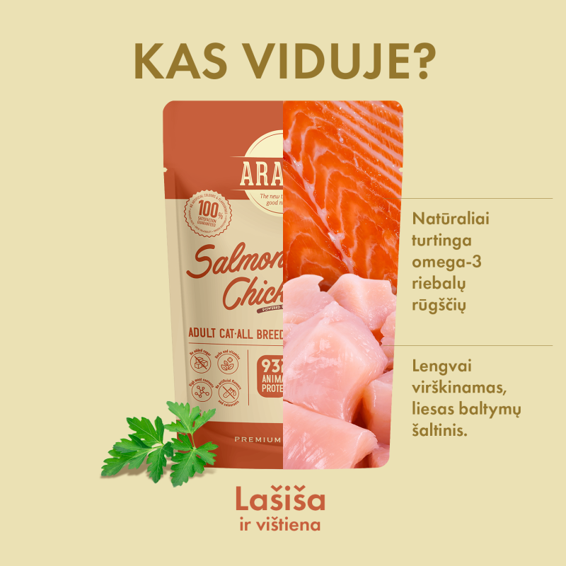 Visų veislių suaugusių kačių šlapias pašaras su lašiša ir vištiena