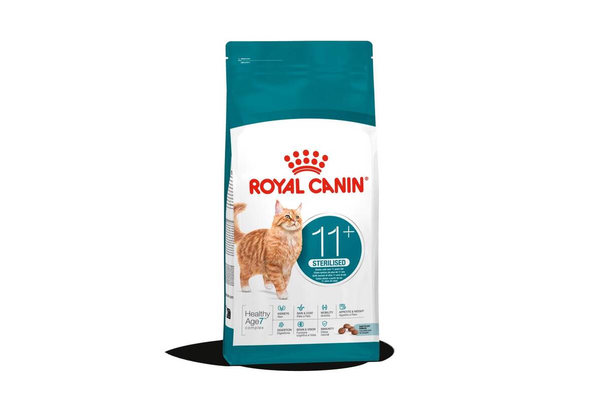 2 kg